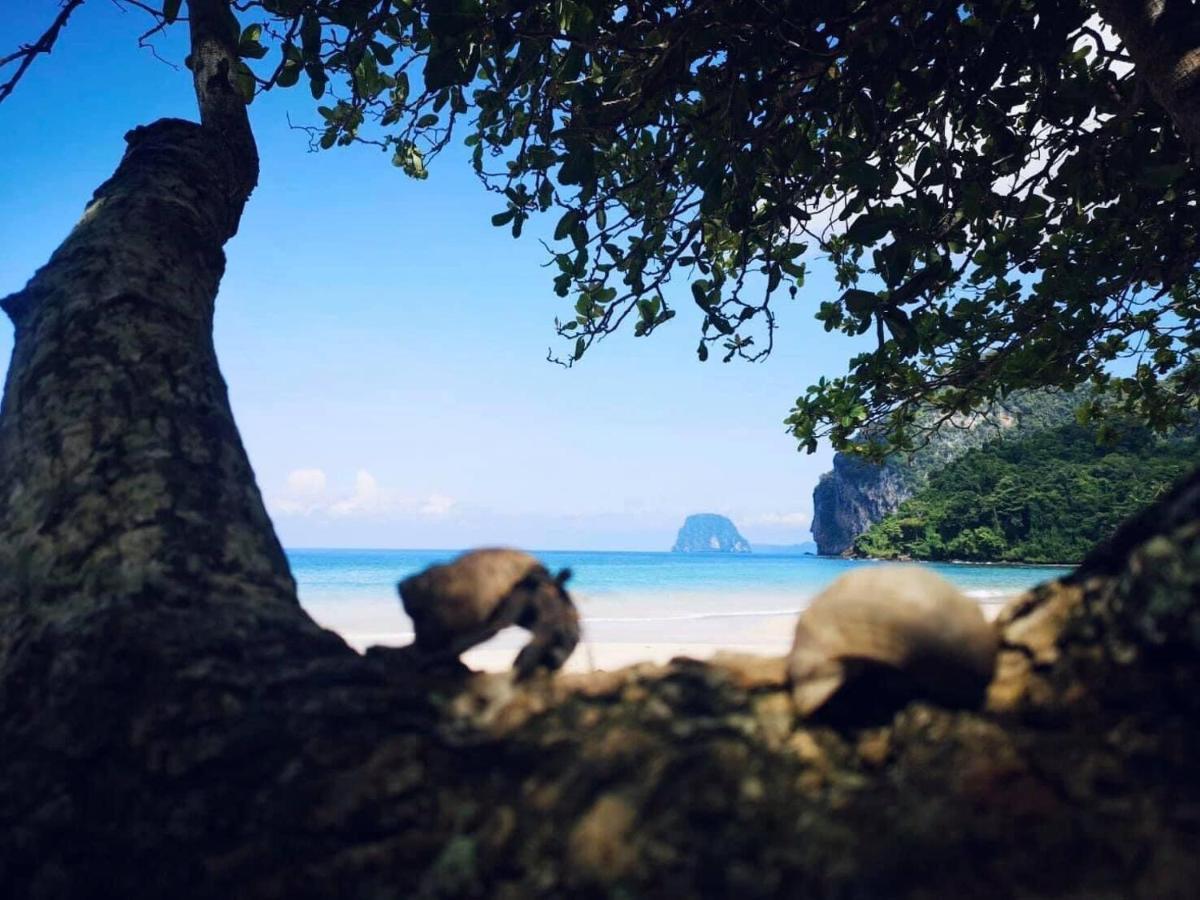 柯木海景简易别墅旅馆 班柯木 外观 照片